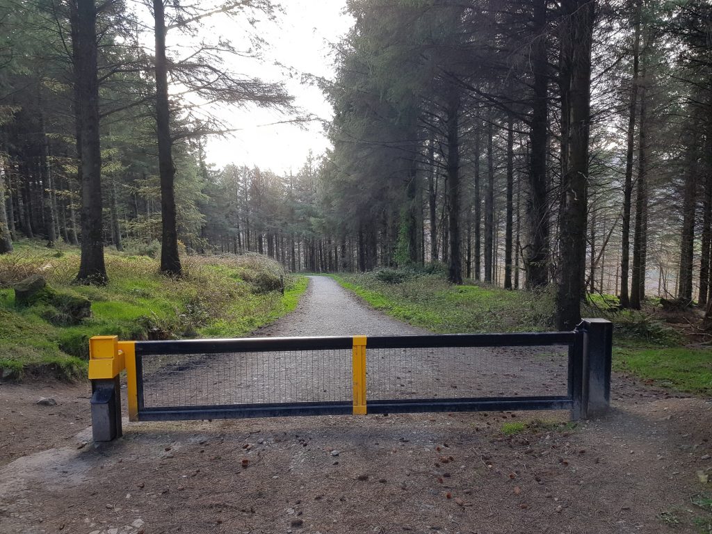 Djouce Woods Walk