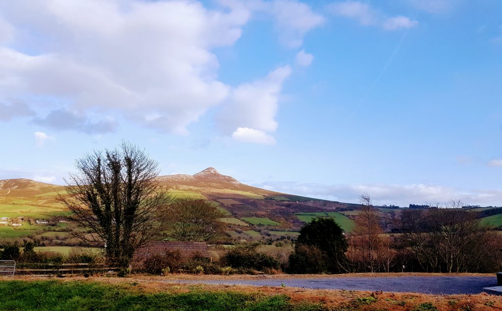 Great sugar loaf
