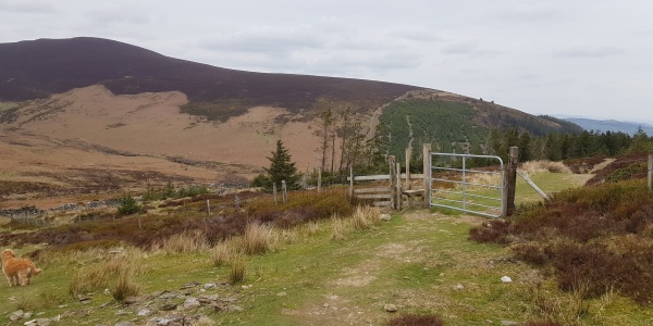 Take the right over the stile when going down the hill