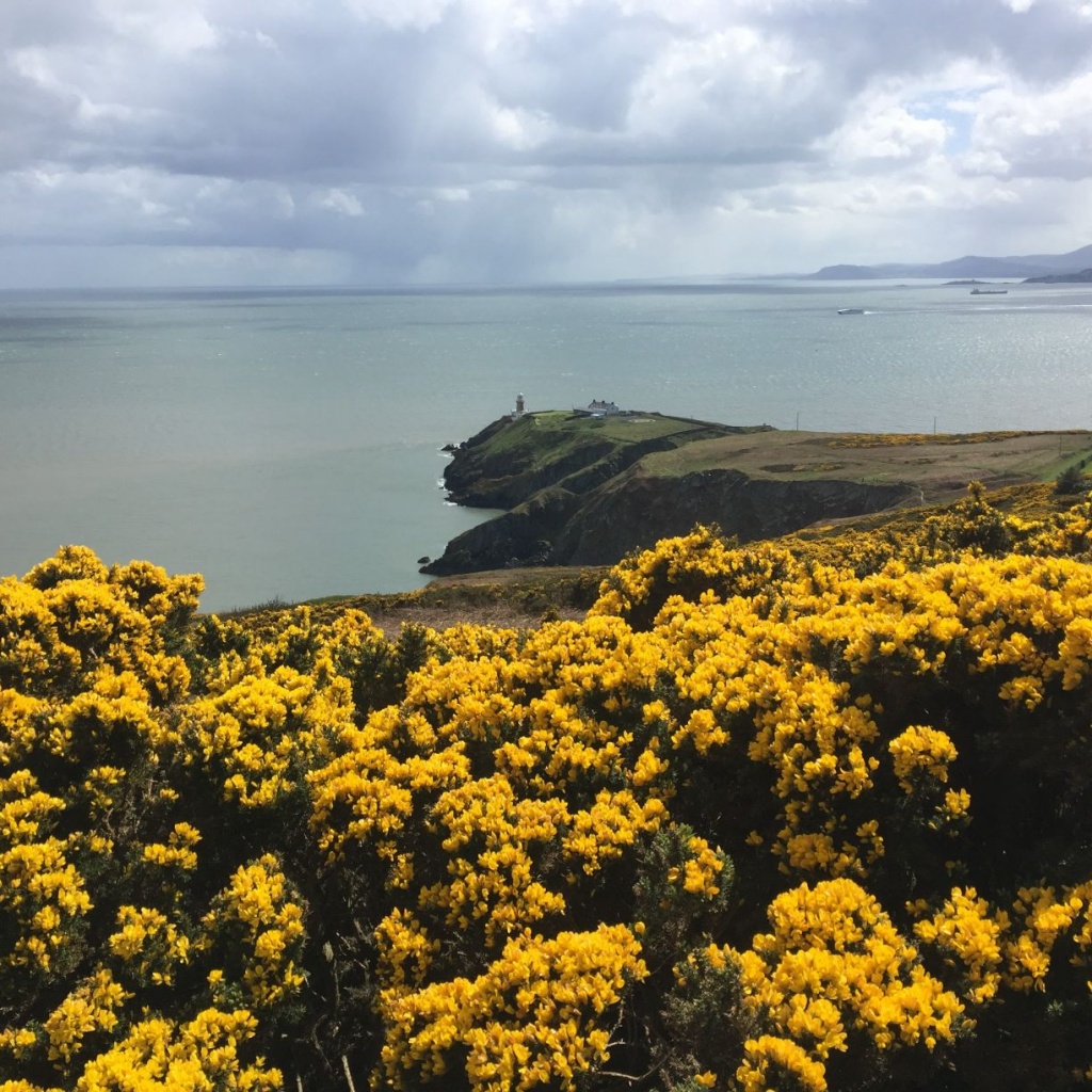 Howth Cliff Walk : Fantastic coastal Walk just 30 min From Dublin ...