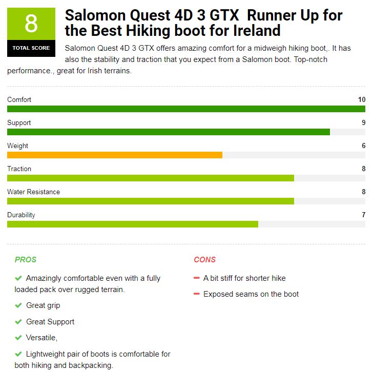 Salomon 4D 3 GTX Review score