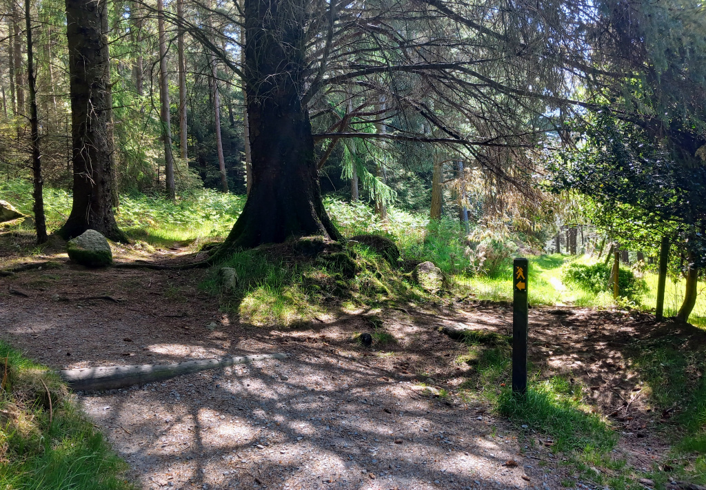 Follow the yellow Mountains Way sign!