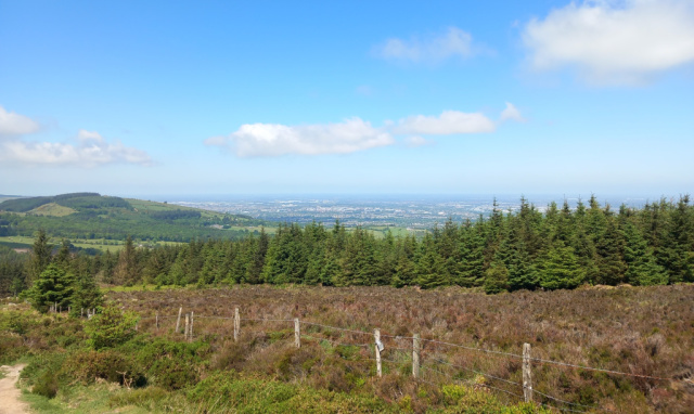 Tibradden wood walk