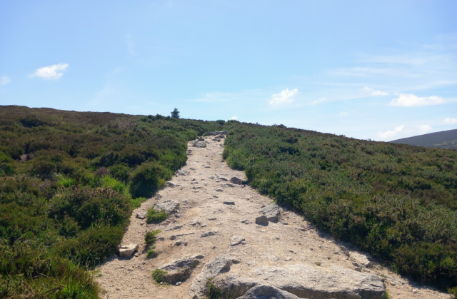 Tibradden wood walk