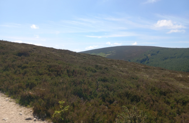Tibradden walk