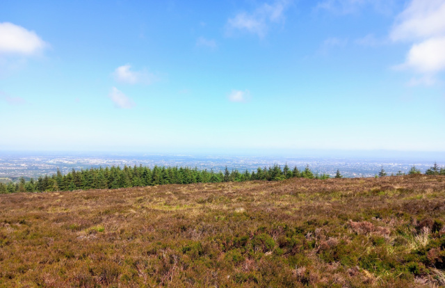 Tibradden wood walk