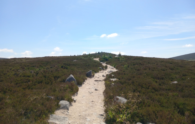 Tibradden walk