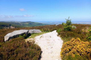 Tibradden Wood Walk, Dublin City view