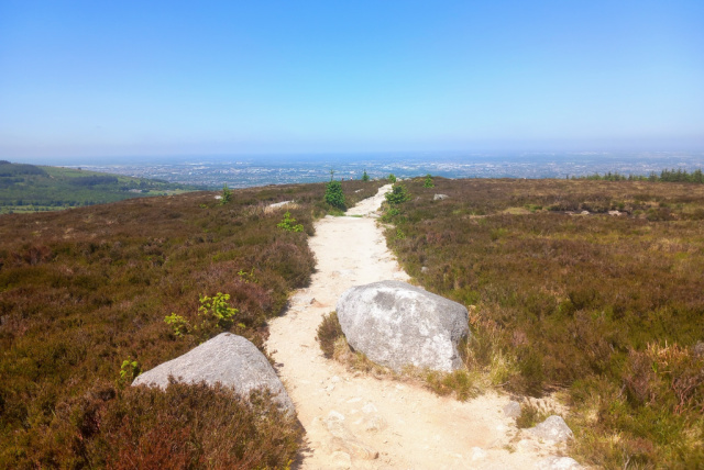 Tibradden wood walk