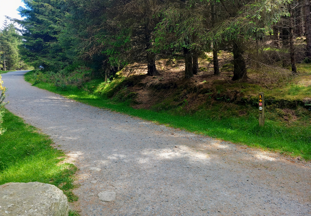 turn left and continue to follow the Dublin Mountains Way.