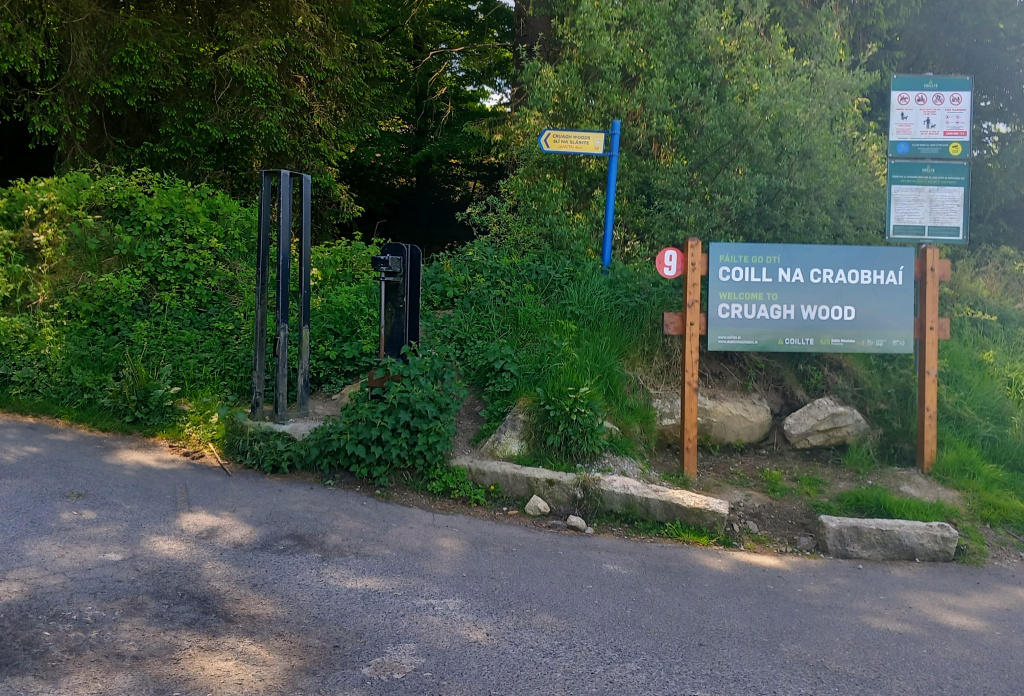 Cruagh Wood Loop, Hikes near Dublin