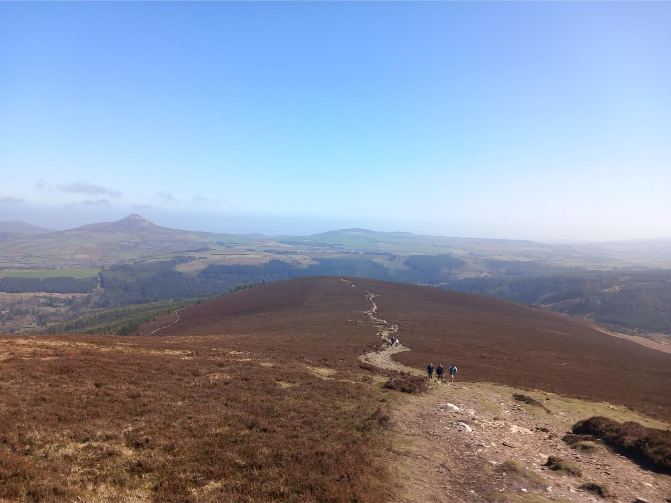 Crone Woods Maulin Hike, Hikes Near Dublin