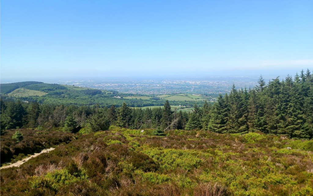 Cruagh Wood Walk, Hikes near Dublin
