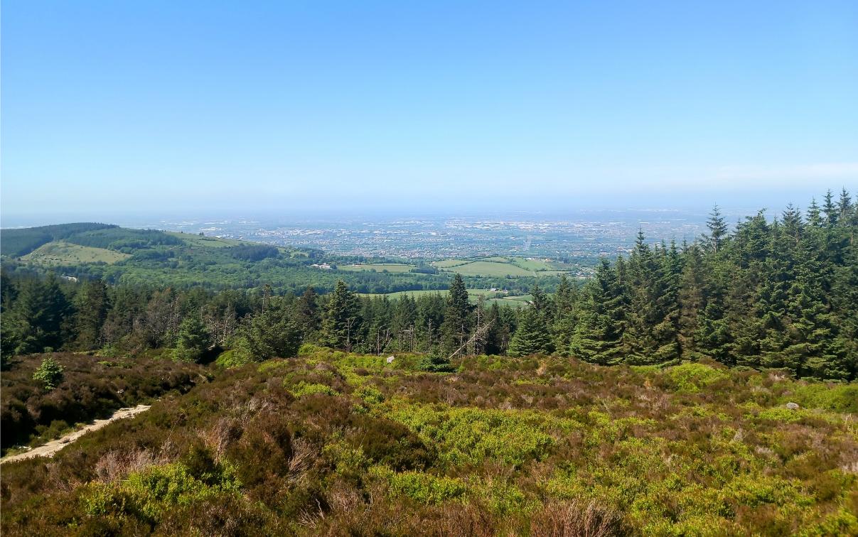 Cruagh Wood Walk, Hikes near Dublin