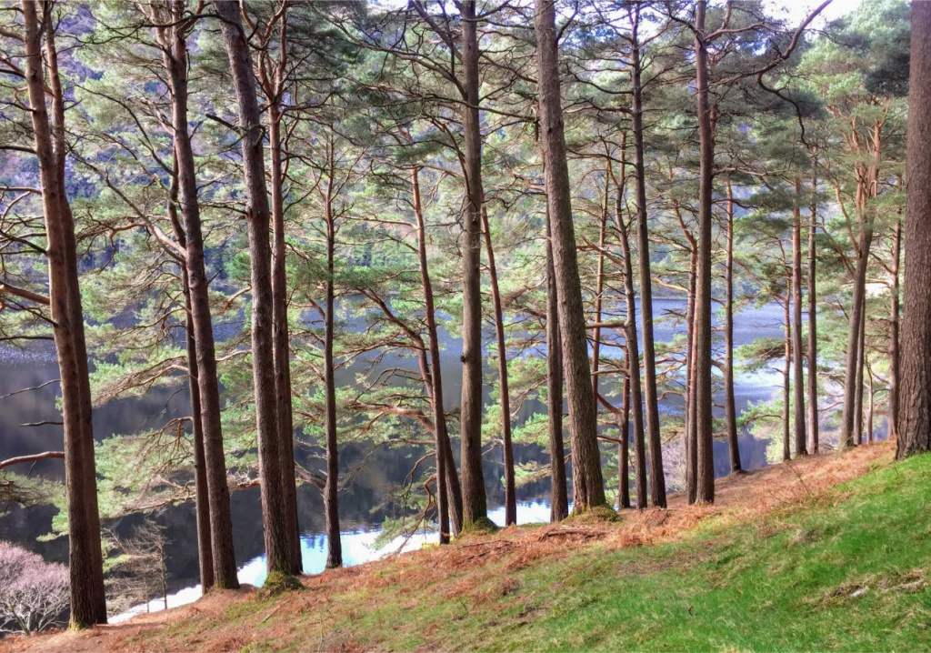Glendalough Upper Lake from the Miners’ Road Walk