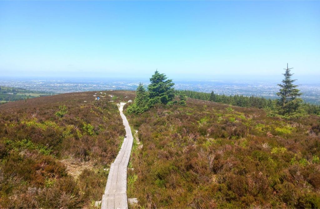 Tibradden Wood Walk, Hikes near Dublin
