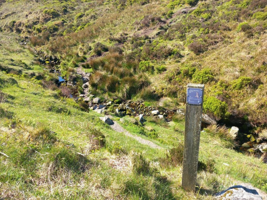 Wicklow Mountains National Park marker post and brook at the start of the Lough Bray Loop Walk